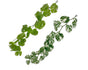 bulk 12 Artificial Green Monstera Garland 120cm V637-AFL33880