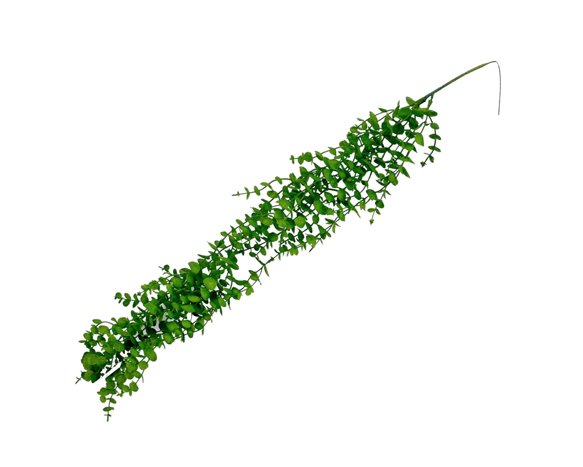 bulk 24 Artificial Eucalyptus Hanging 75x10cm V637-AFL35141