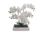 White Orchid In Rectangle Ceramic Pot 56x61cm V637-AFL35436