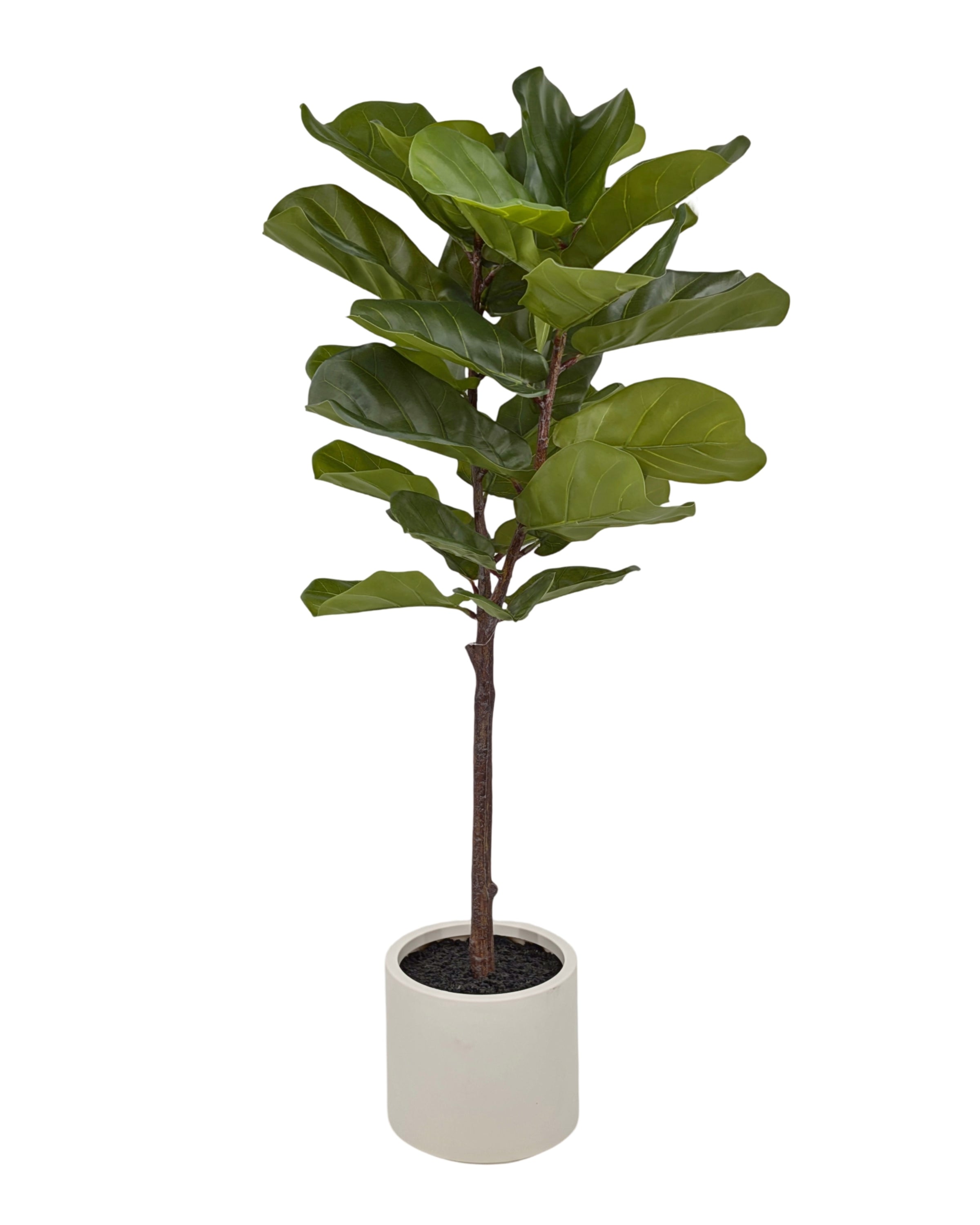 Large Artificial Fiddleleaf Tree in Pot 130cm V637-AFL35440