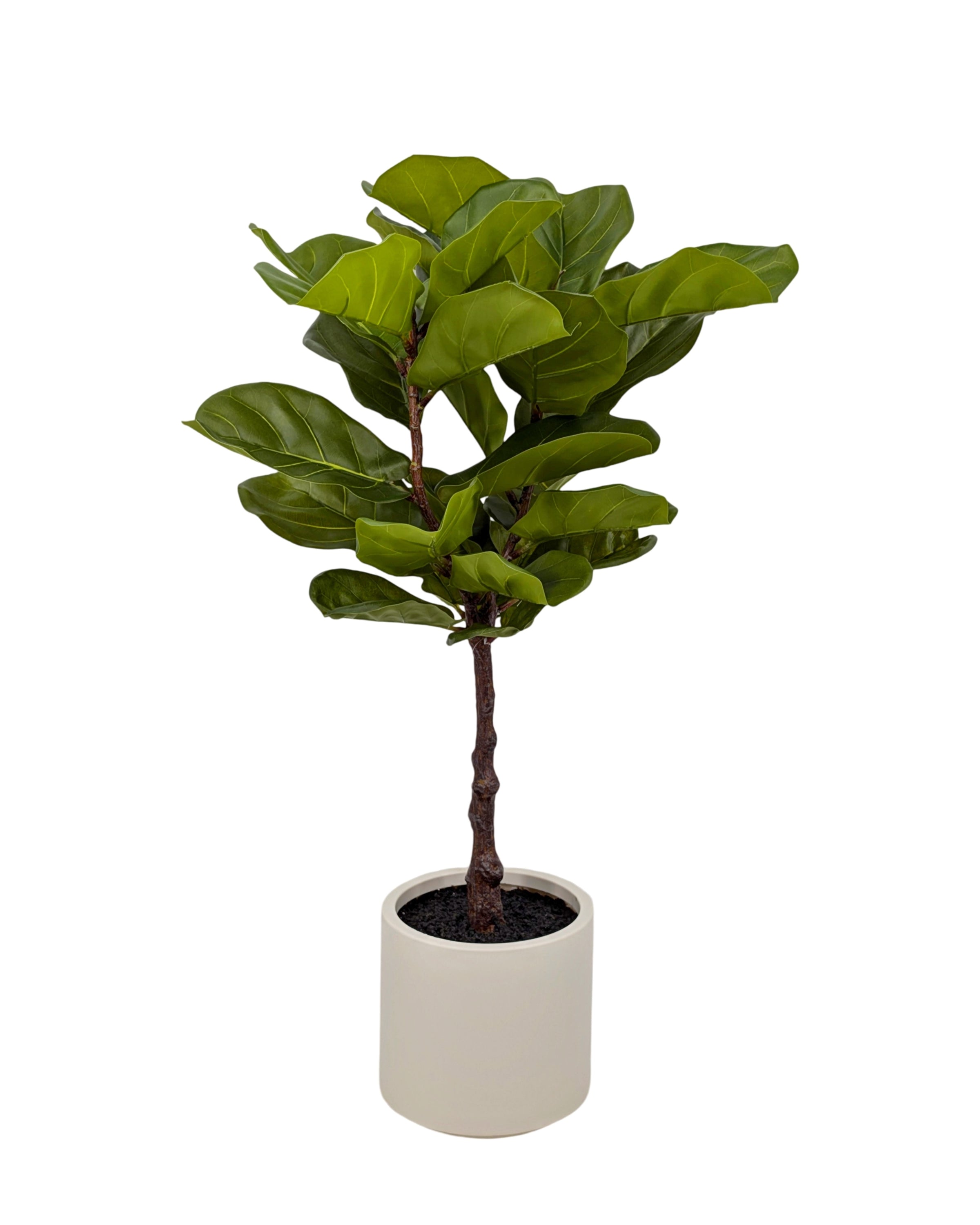 Artificial Real Touch Fiddleleaf Tree 100cm V637-AFL35441