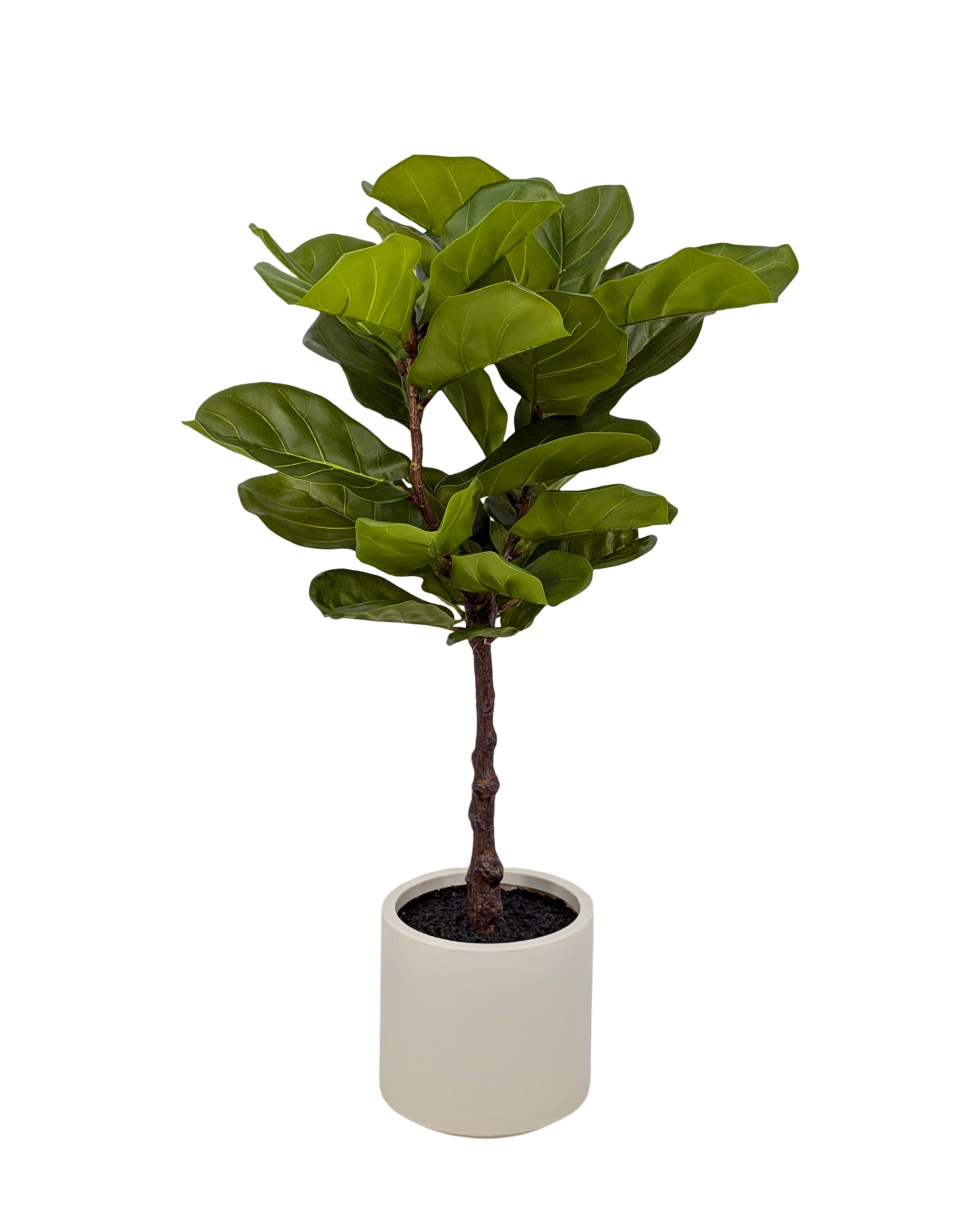 Artificial Real Touch Fiddleleaf Tree 100cm V637-AFL35441