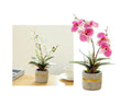 Set 2 Artificial Orchid in Cement Pot 27cm V637-AFL36433