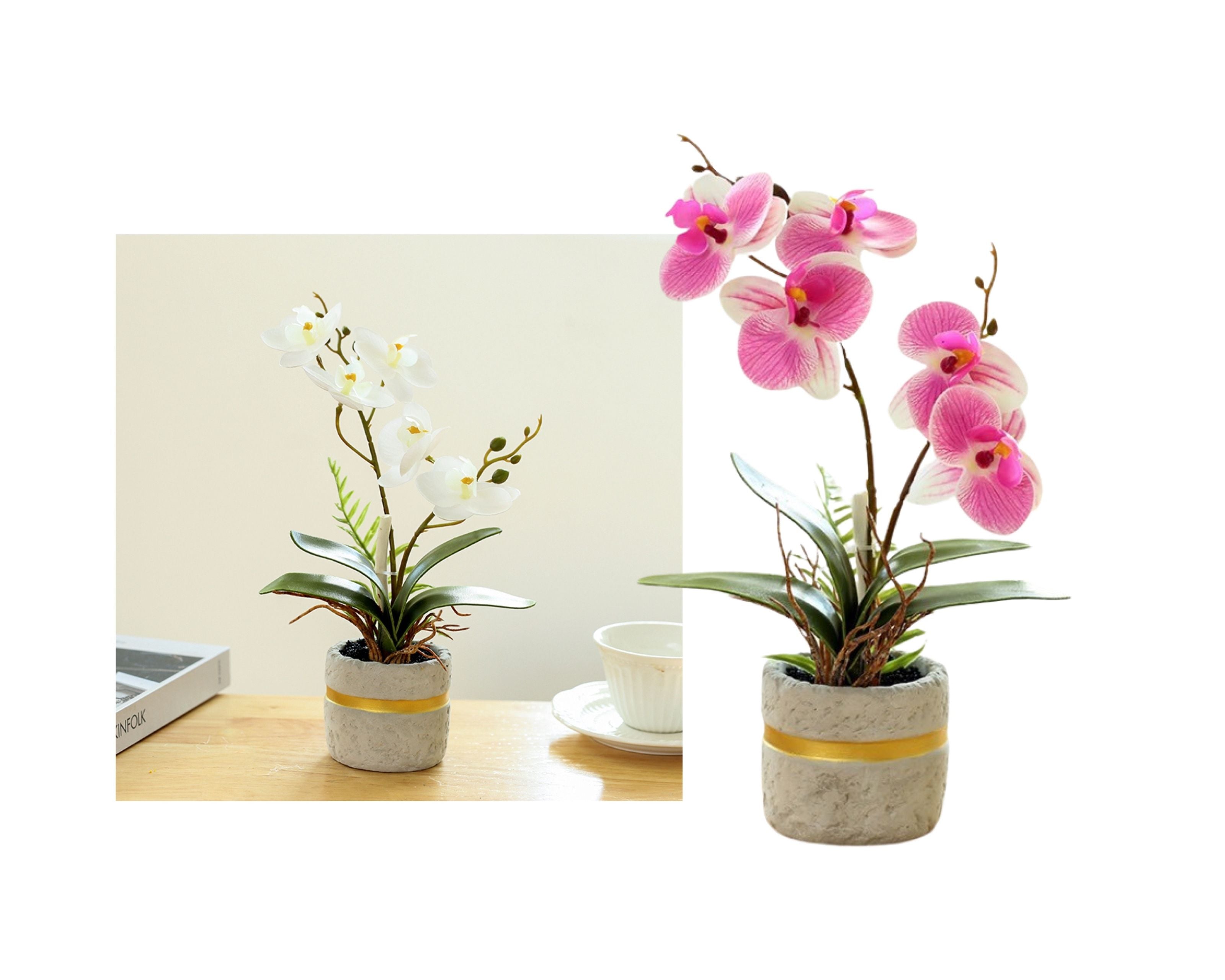 Set 2 Artificial Orchid in Cement Pot 27cm V637-AFL36433