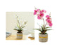Set 2 Artificial Orchid in Cement Pot 27cm V637-AFL36433