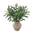 Artificial Olive Branches in Ceramic Pot 49cm V637-AFL36459