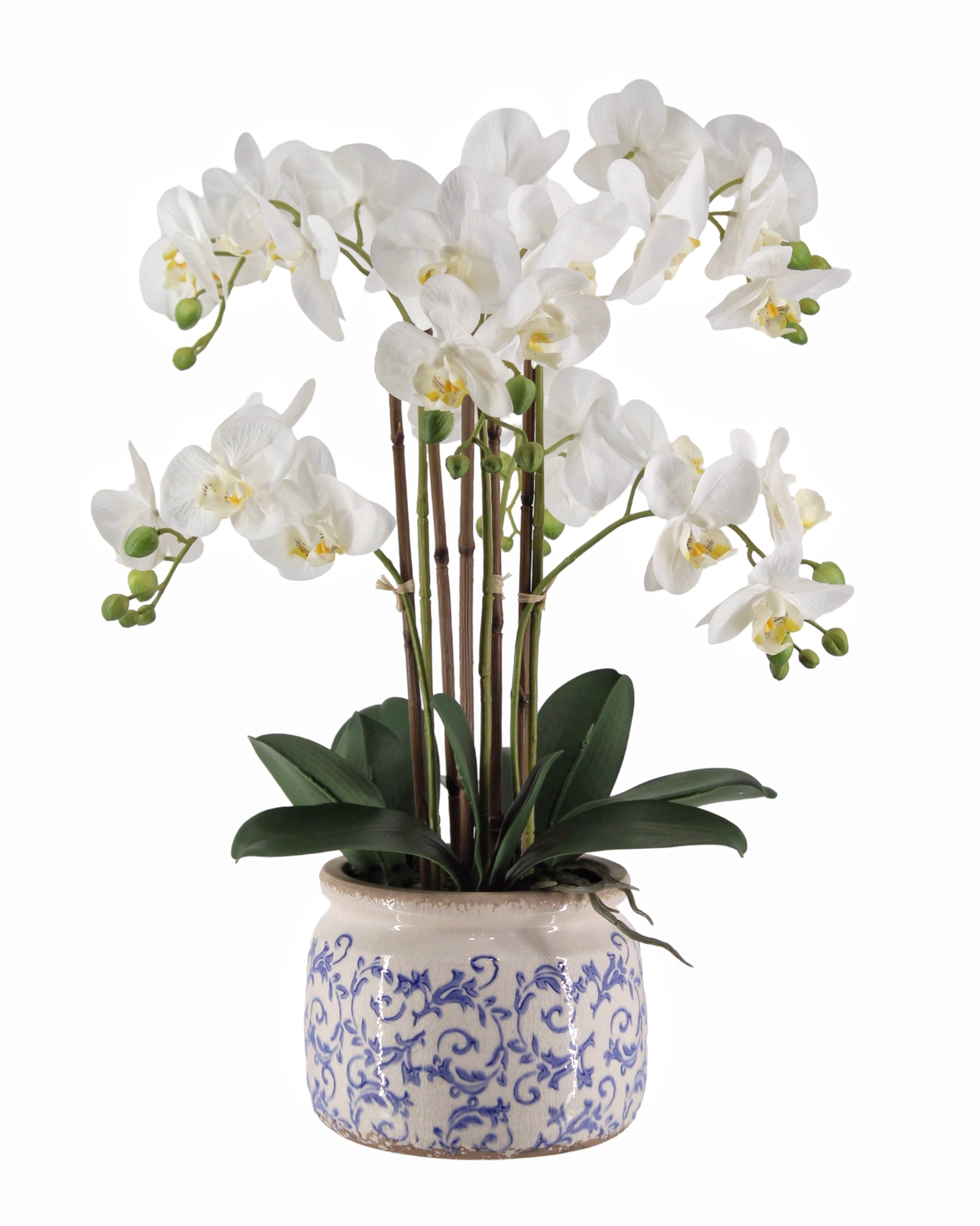 Real Touch Artificial Orchid in Pot 61cm V637-AFL36985