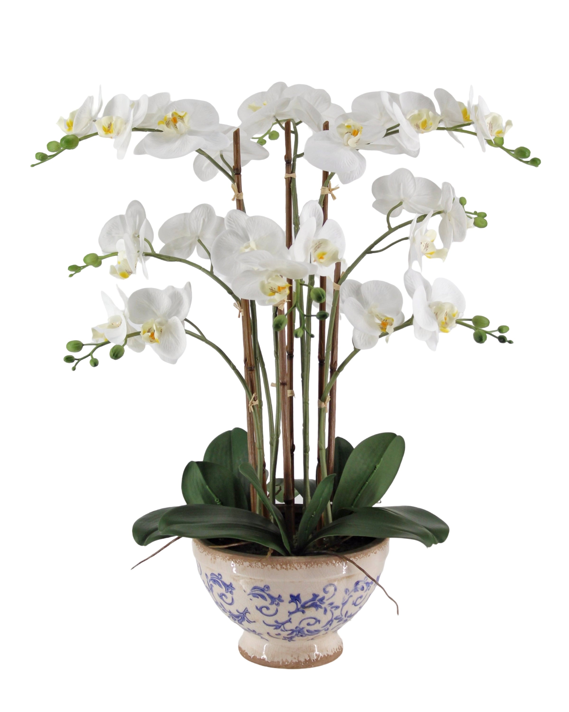 Real Touch Artificial Orchid in Ceramic Pot 68cm V637-AFL36986