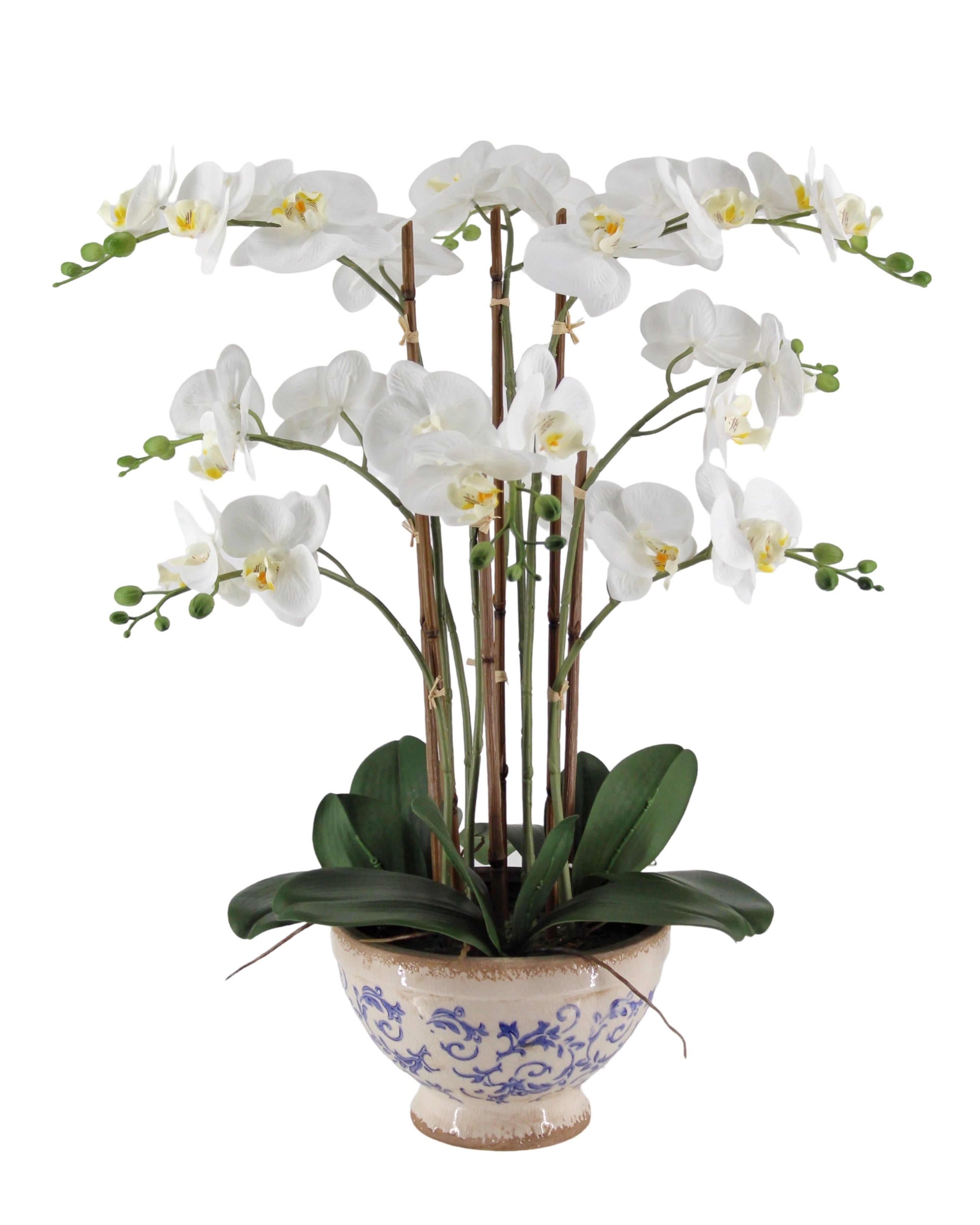 Real Touch Artificial Orchid in Ceramic Pot 68cm V637-AFL36986