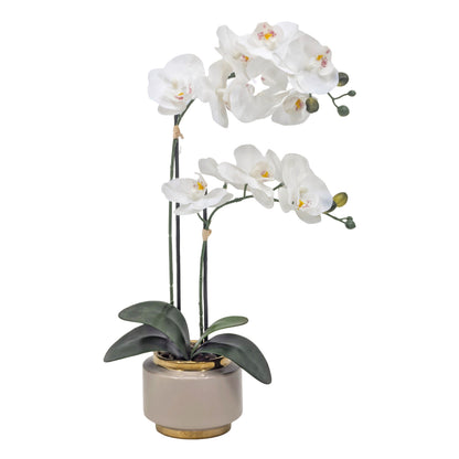 Real Touch Artificial Orchid Pot 50cm V637-AFL36987