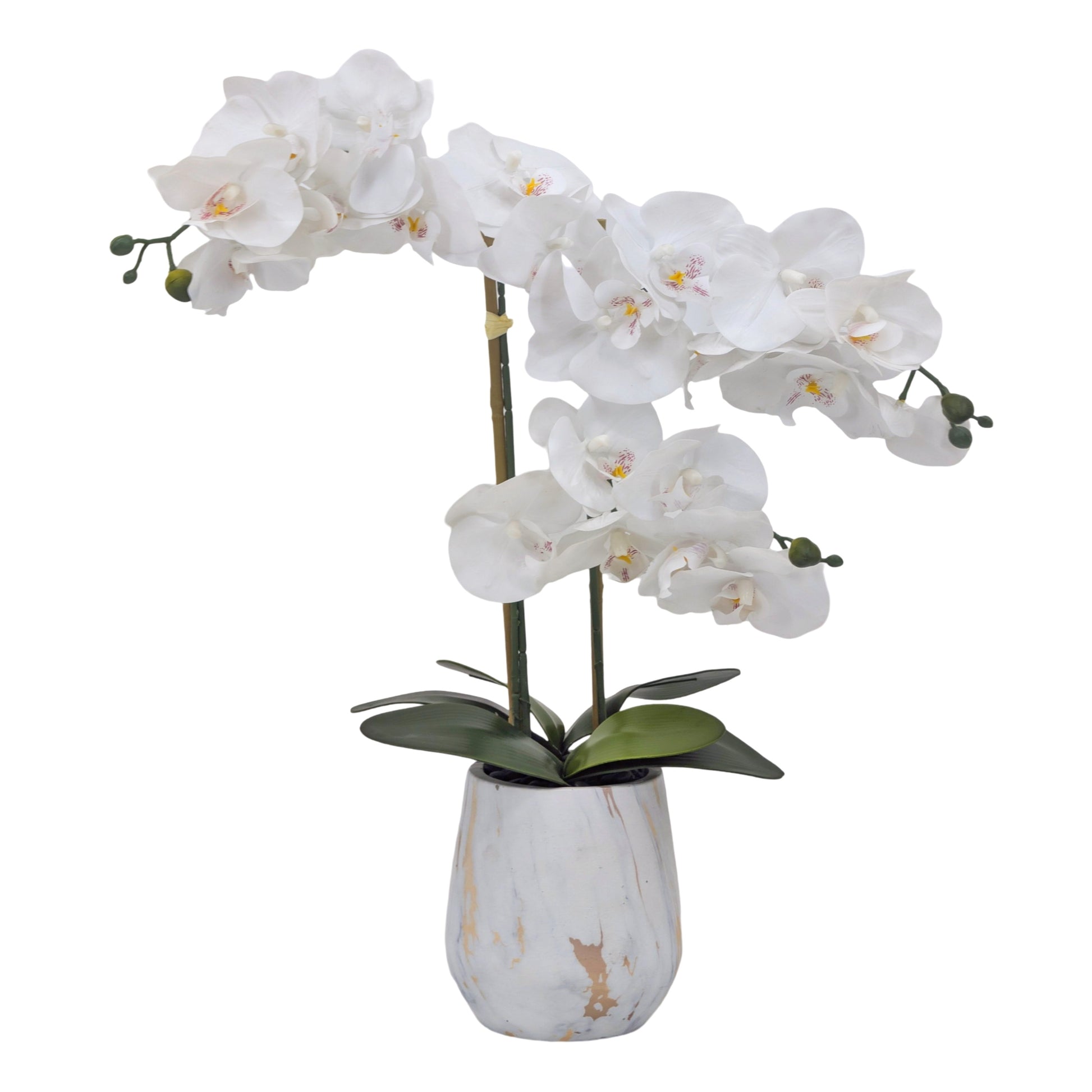 Real Touch Artificial Orchid Pot 55cm V637-AFL36988