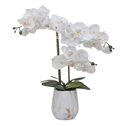 Real Touch Artificial Orchid Pot 55cm V637-AFL36988
