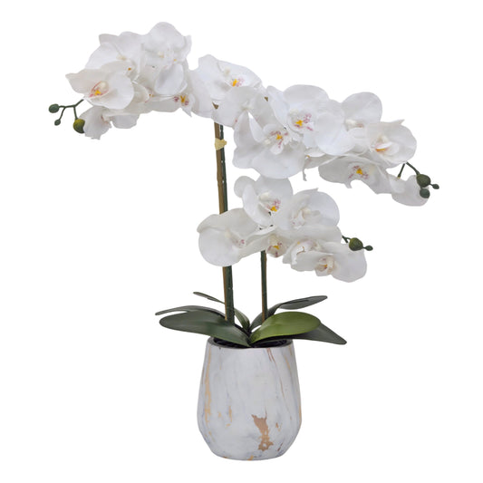 Real Touch Artificial Orchid Pot 55cm V637-AFL36988