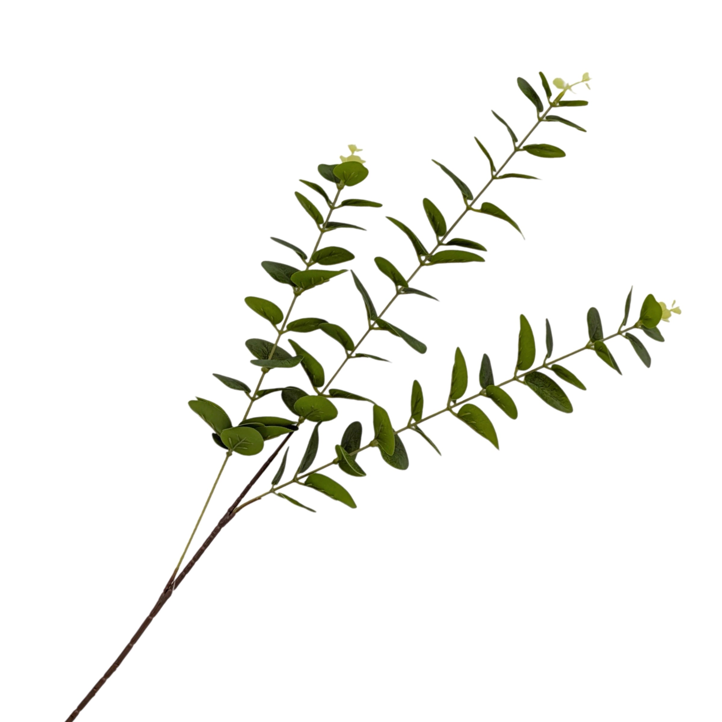 bulk 24 Artificial Eucalyptus Stem 3 Branches 2 Assort 80cm V637-AFL37037