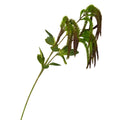 bulk 24 Artificial Amaranthus Stem 3 Branches 2 Assort 75cm V637-AFL37041