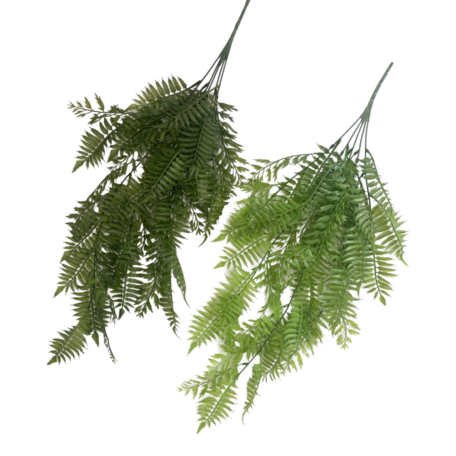 bulk 12 Artificial Hanging Fern 2 Assort 79cm V637-AFL37112