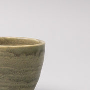 Mug 250ml Washed Fern V637-C0069