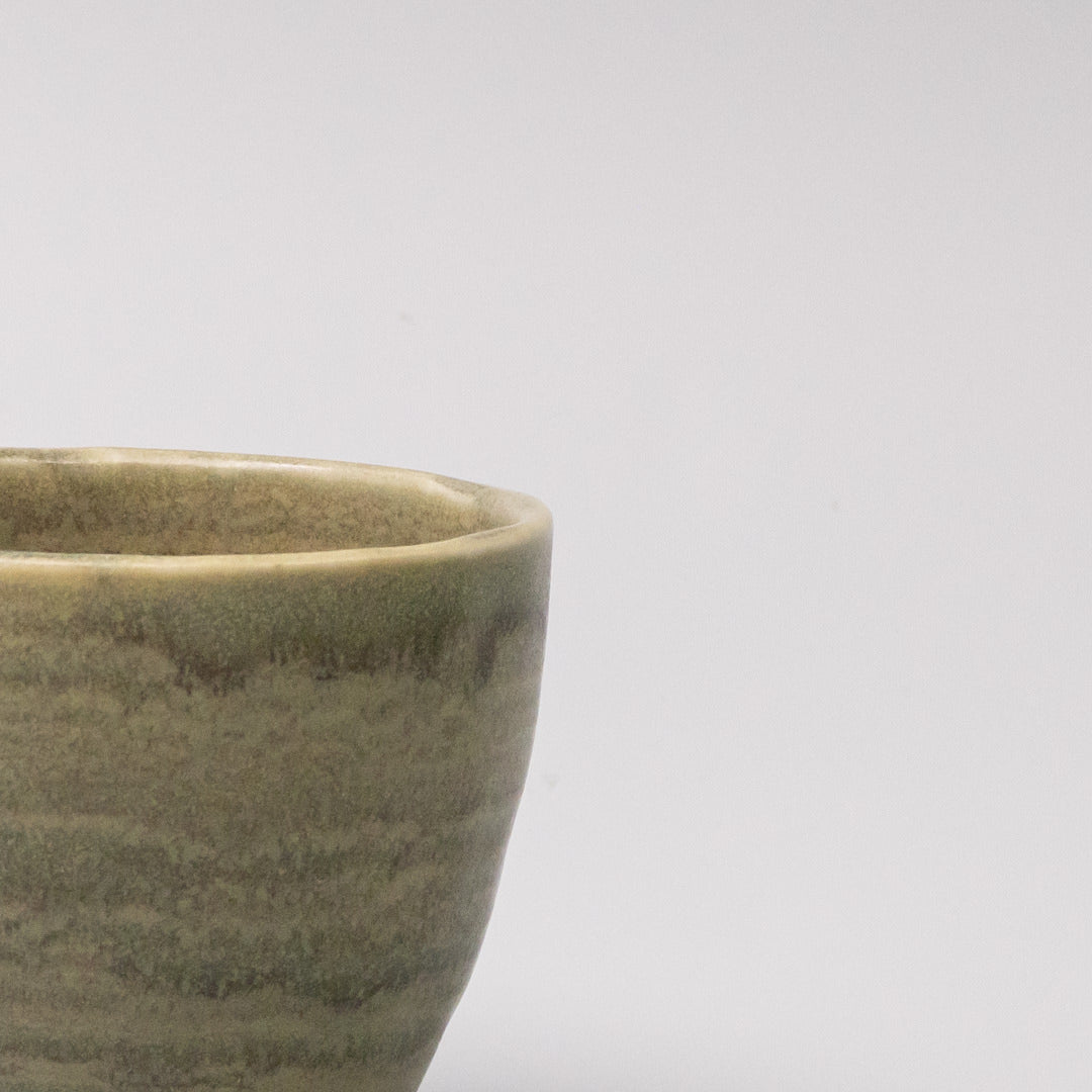 Mug 250ml Washed Fern V637-C0069