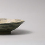 Open Shallow Bowl 24cm Washed Fern V637-C0070