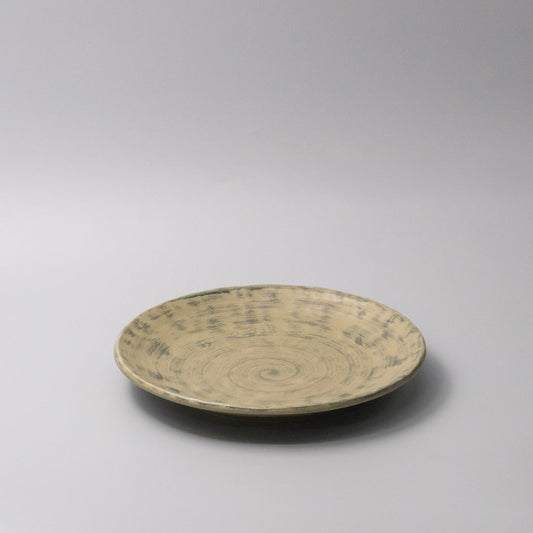 Thick Edge Plate 25cm Washed Fern V637-C0073