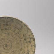 Thick Edge Plate 25cm Washed Fern V637-C0073