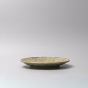 Thick Edge Plate 25cm Washed Fern V637-C0073