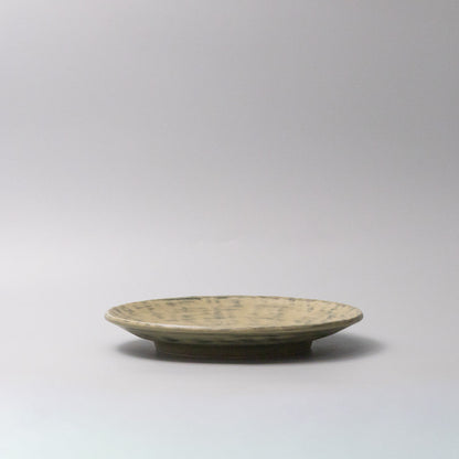 Thick Edge Plate 25cm Washed Fern V637-C0073