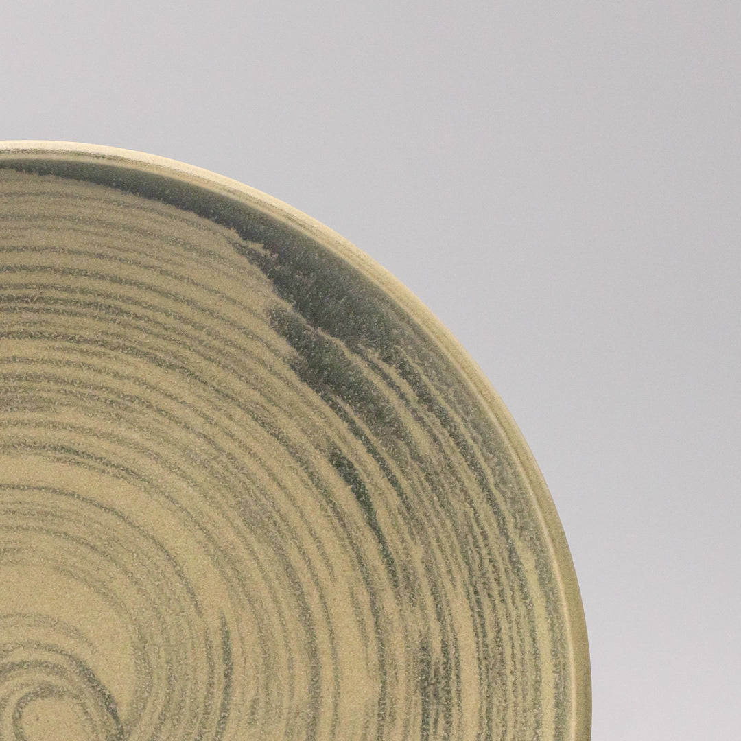 Dinner Plate 26cm Washed Fern V637-C0075