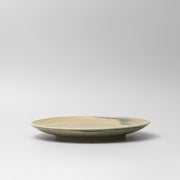 Dinner Plate 26cm Washed Fern V637-C0075