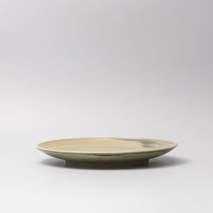 Dinner Plate 26cm Washed Fern V637-C0075