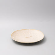 Dinner Plate 25cm White Fade Glaze V637-C0426