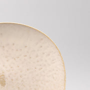 Dinner Plate 25cm White Fade Glaze V637-C0426