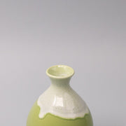 Sake Jug 300ml Pistachio White Drip V637-C1058