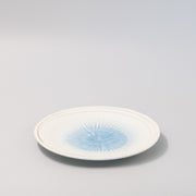 Plate Organic 25cm Okinawa Glaze V637-C1115