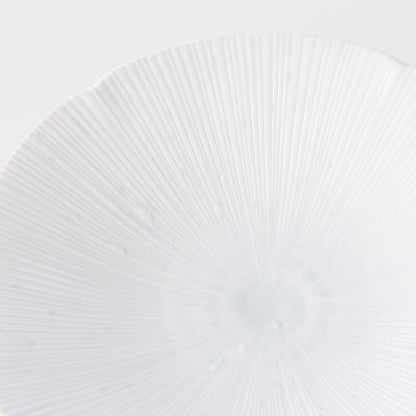 Pasta Bowl 22.5cm Ice White Glaze V637-C2329