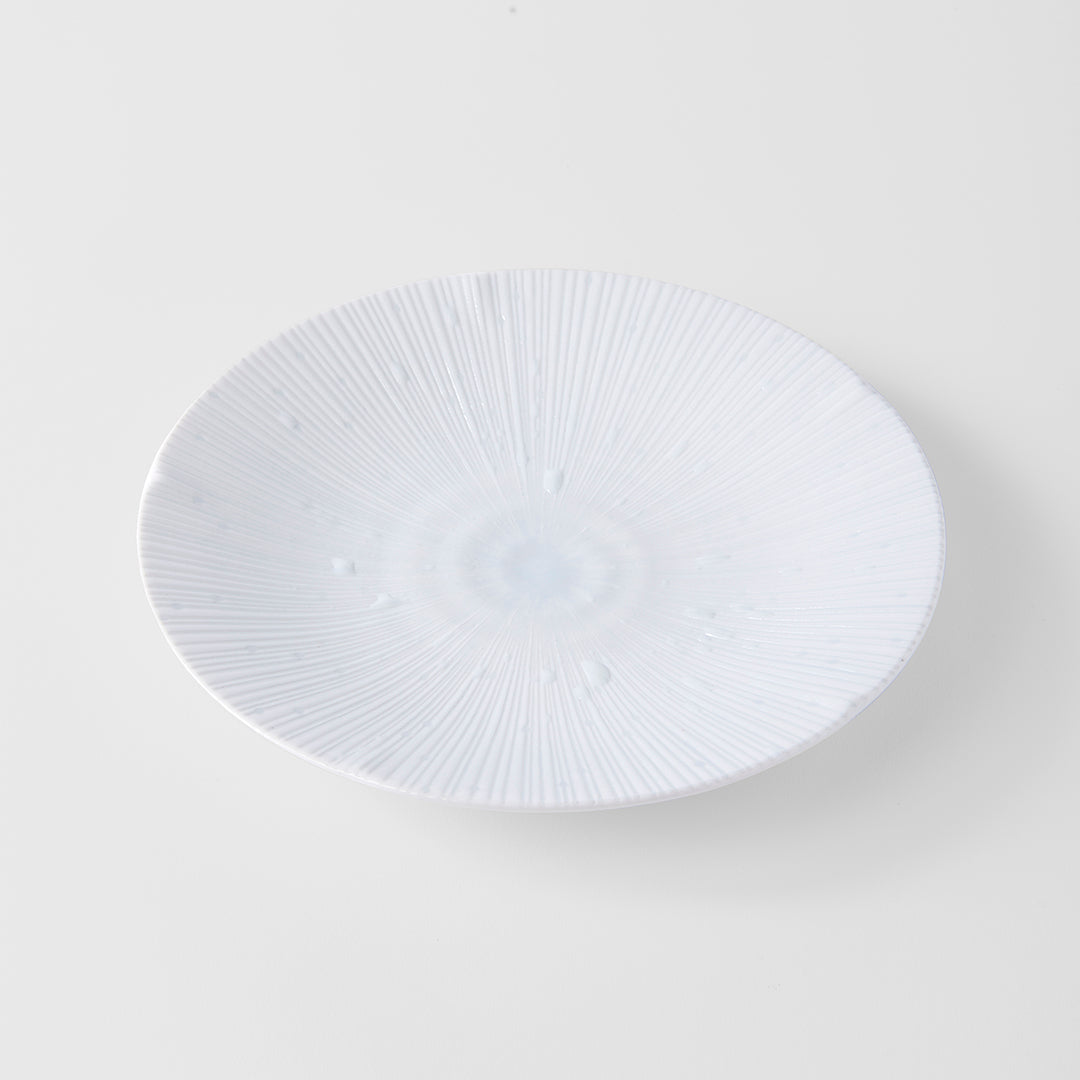 Dinner Plate 24.5cm Ice White Glaze V637-C2334