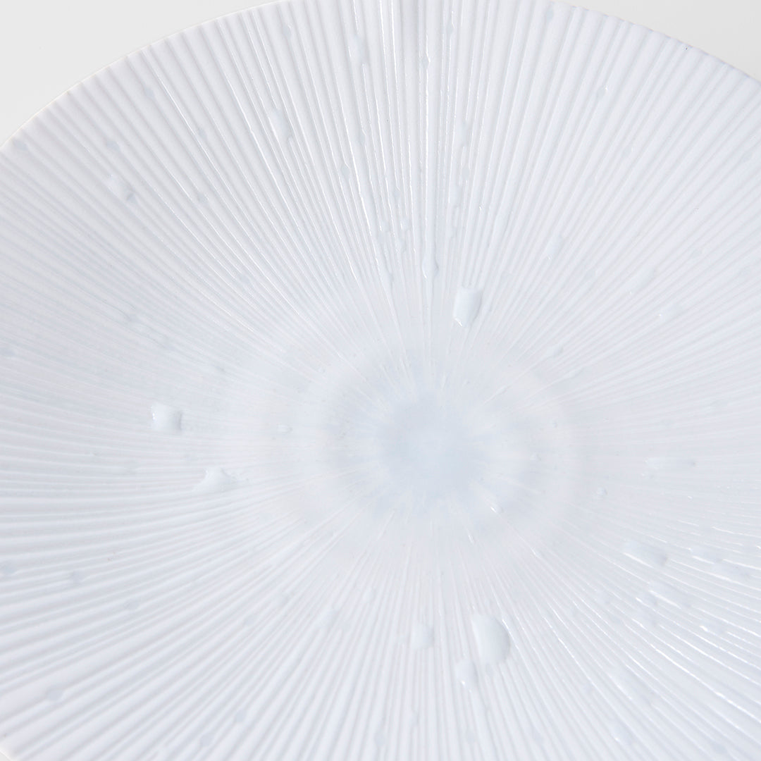 Dinner Plate 24.5cm Ice White Glaze V637-C2334