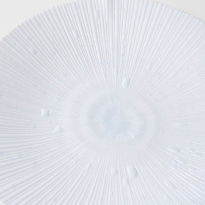 Dinner Plate 24.5cm Ice White Glaze V637-C2334
