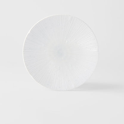 Dinner Plate 24.5cm Ice White Glaze V637-C2334