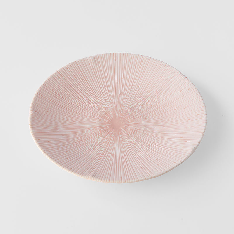 Dinner Plate 24.5cm Ice Pink Glaze V637-C2678