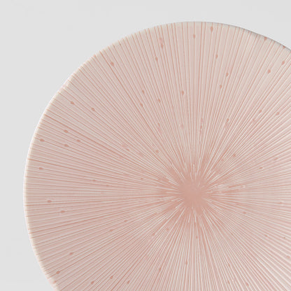 Dinner Plate 24.5cm Ice Pink Glaze V637-C2678