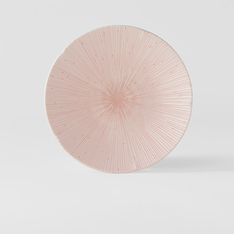 Dinner Plate 24.5cm Ice Pink Glaze V637-C2678