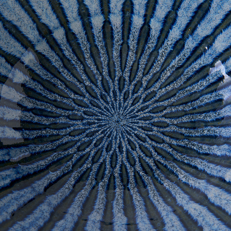 Bowl 24cm Indigo Drip Glaze V637-C2882