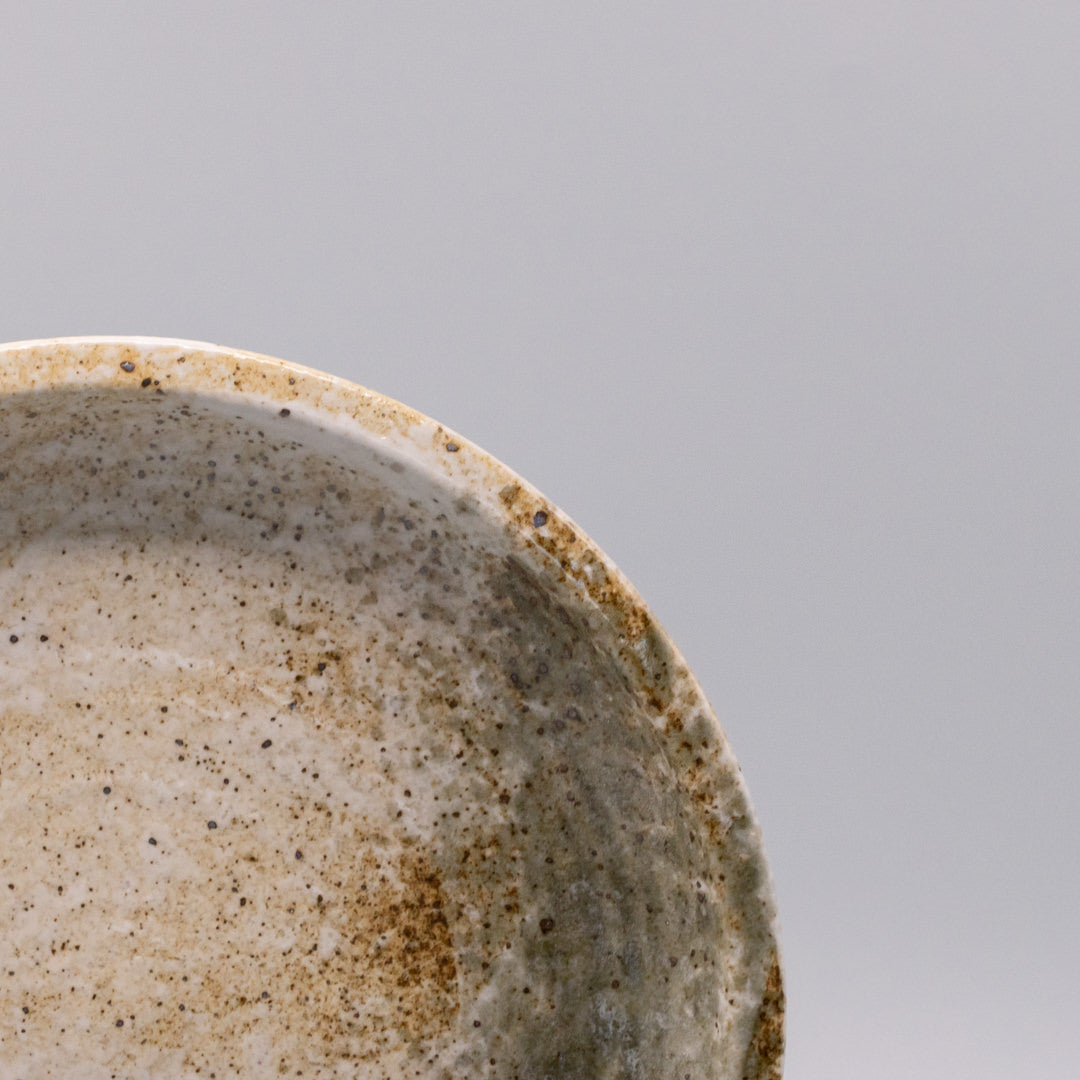 Plate Thick Edge 25cm Snow Bamboo Glaze V637-C7310