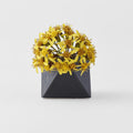 Vase Triangular 130ml Matte Black Glaze V637-C7917
