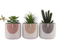 Set 3 Rainbow Ceramic Pot Planter 13cm V637-CVA32162