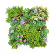 Artificial Dense Succulent Green Wall / Vertical Garden Panel 50cm x 50cm UV Resistant V637-DP0159883R