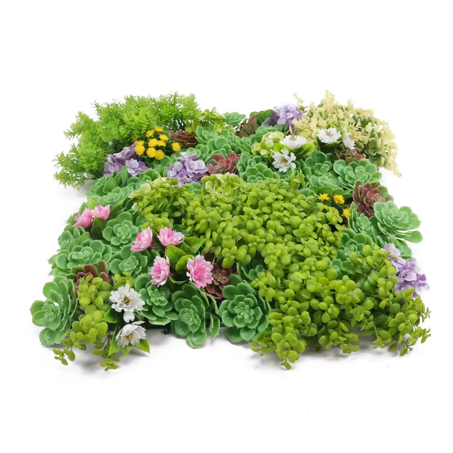 Artificial Dense Succulent Green Wall / Vertical Garden Panel 50cm x 50cm UV Resistant V637-DP0159883R