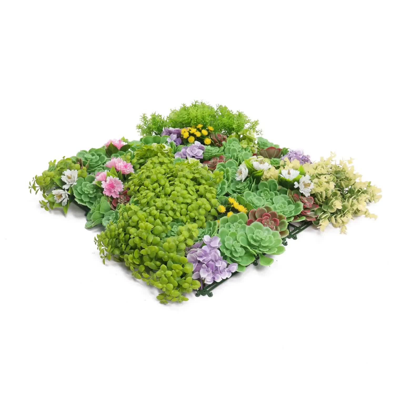 Artificial Dense Succulent Green Wall / Vertical Garden Panel 50cm x 50cm UV Resistant V637-DP0159883R