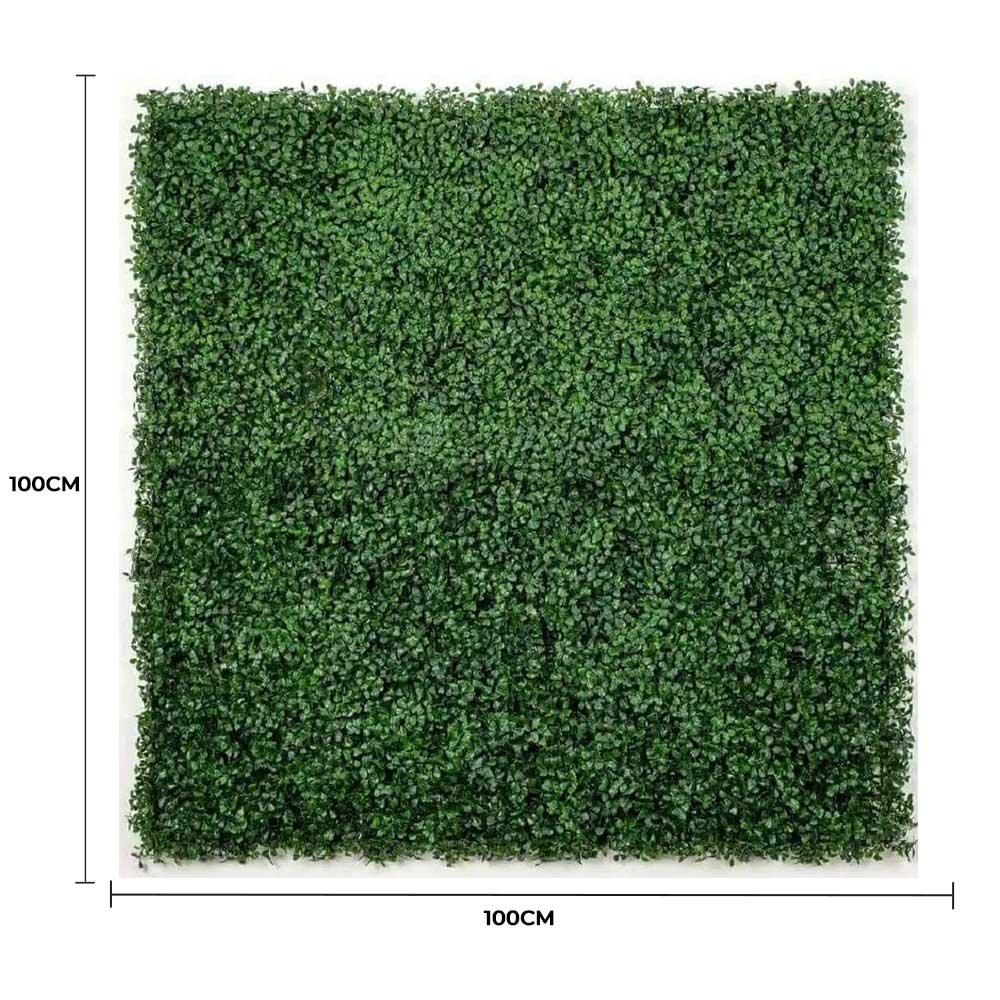 Boxwood Hedge Screen Green Wall Panel UV Resistant 100cm x 100cm V637-DP1000500